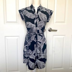 Express Dress xxs